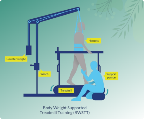 Harness System
